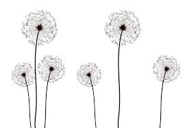 dandelion png download image png arts dandelion png download image png arts