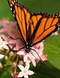 Obituary information for Betty J. Cartwright