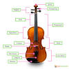 Being a member of several violin makers associations, he was also aware of more and more fine violin makers springing up from all walks of life. 1