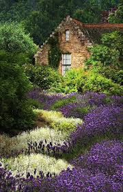 A Cottage In The Highlands Of Scotland So Dreamy I Could Live Here Tmnkeel Chickadeegirl71 Beautiful Gardens Cottage Garden Dream Garden