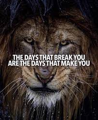 Photo Inspirational Quotes About Success Inspirational Quotes Motivation Success Quotes