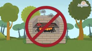 A jovem estava brincando, quando percebeu que a fritadeira elétrica da casa estava pegando fogo e correu para. Como Evitar Incendios Consejos Ecologicos Para Ninos Youtube