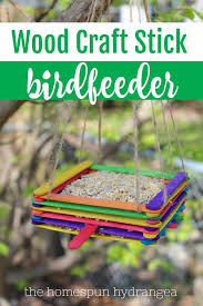 Assembled with specific dimensions designed to replace the natural hollows and cavities found in mature trees, a homemade bluebird house will provide a safe location for bluebirds to nest and hatch their eggs. Diy Wood Craft Stick Bird Feeder Nature Craft For Kids