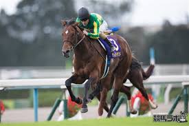 ら z+h,j,k,lで←,↓,↑,→になるよ コマンド使おう やじるし変換 そんなこと言い出したらア. ã‚µãƒˆãƒŽãƒ€ã‚¤ãƒ¤ãƒ¢ãƒ³ãƒ‰ãŒæœ€å¾Œã®1å†  èŠèŠ±è³žã‚'åˆ¶è¦‡ å¹³æž—é›…èŠ³ã®ç›® ç«¶é¦¬ãƒ‹ãƒ¥ãƒ¼ã‚¹ ç«¶é¦¬ãƒ©ãƒœ
