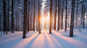 Check spelling or type a new query. Finding My True Name The Reiki Guide