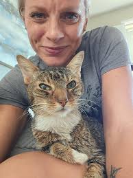 Lost sweet 16-year-old cat Midnight, played with strays