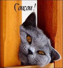 Poême sur l'amitié - Le blog de bacotte