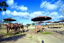 Maybe you would like to learn more about one of these? A Famosa Resort City Goticket My