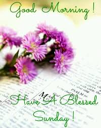 Good morning sunday blessing images and quotes. Good Morning Wishing Everyone A Beautiful And Blessed Day Have A Blessed Sunday Blessed Sunday Good Morning Sunday Images