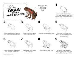 I used watercolor paints and masking fluid , both available from blick art supplies. Yosemite National Park Auf Twitter Ready For Another Drawing Challenge Follow Along Step By Step To Draw One Of Yosemite S Most Special Amphibians The California Red Legged Frog Remember To Tag Us If You Post