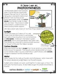 Differentiated Photosynthesis Reading Passage Photosynth Photosynthesis Activities Photosynthesis Reading Passages