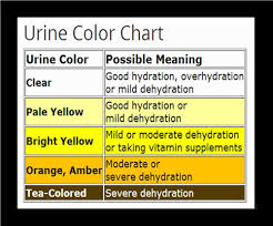 How To Recognize And Prevent Heat Related Illness