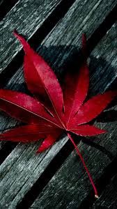 See more ideas about rap wallpaper, rapper art, dope wallpapers. Ipad Retina Wallpaper Nature Red Iphone 1080x1920 Hd Wallpapers Desktop Backgrounds Wallpaper Pics