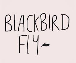 Blackbird Singing In The Dead Of Night Lyrics Into The Light Of The Dark Black Night With Images Black Bird Beatles Lyrics Blackbird Beatles