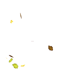 Fall, leaf, autumn, leaves, clipart, falling, background, animated, animation, rain, moving, wind, fall leaf animated, gif fall leaf sweeping, gif fall leaf wind, gif. Autumn Leaves Fall Sticker By Home Brew Agency For Ios Android Giphy