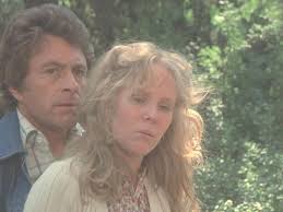 Dr. David Banner & Billy Bixby