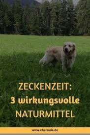Charoula Barmpouti Zeckenzeit 3 Wirkungsvolle Naturmittel Zeckenmittel Fur Hunde Hunde Zeckenmittel