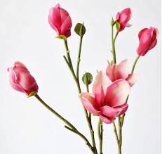 Add stems to foliage from your garden in a lovely glass vase of water….no one will know they are not real flowers! 2014 Sj Af107 Single Red Artificial Magnolia Flower For Wedding Decor Fake Magnolia Bonsai Table Flower Magnolia Trees Flower Buy Artificial Magnolia Flower Artificial Magnolia Flower Bonsai Trees For Sale Decorative Artificial Magnolia