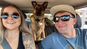 Fundraiser by Isabelle Anderson : Chemo for King