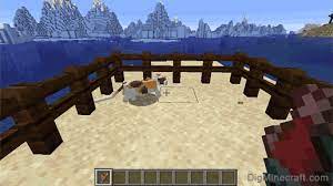 How To Tame A Cat In Minecraft