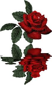 ورد متحرك رائع ورد متحرك صور ورد متحرك صور ورود متحركة roses moving pictures guzel cicekler dogum cicek guller