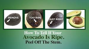 Back to the question you asked, when hydraulically pressed, the ripeness of avocado greatly. How To Tell If Your Avocado Is Ripe The Dr Oz Show
