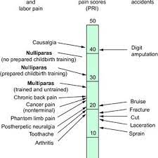 Comparison Of Pain Scores Using The Mcgill Pain Questionnaire Obtained Download Scientific Diagram