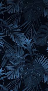 Iphone Wallpaper Duvar Kagidi Ekran Koruyucu Mavi Arka Planlar Resim Duvari Arkaplan Tasarimlari