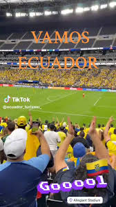 Vídeos de Vinicio Ayala (@ishowspeed_black) con «A mi lindo Ecuador