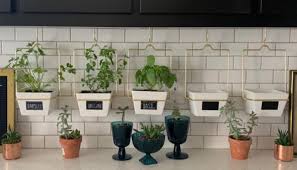 Le tauci plant pots, large planter ceramic, 8.3+6.9+5.7 inch flower pot for plants with drainage holes, flower pot, garden planters outdoor, indoor house plants, cylinder planter, set of 3, white 4.7 out of 5 stars 16 27 Best Wall Hanging Planters For Indoors Outdoors 2021