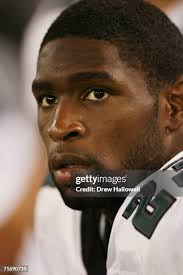 89 Photos & High Res Pictures