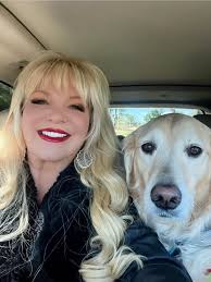 Golden Retrievers Enjoying Movies and TV Shows