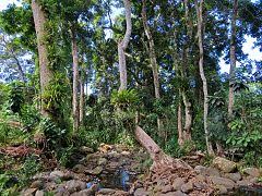 Image result for Mayotte's  volcano