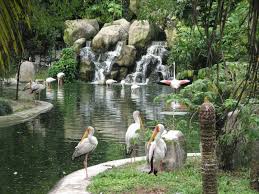 See the birds up close as you feed them and watch the various shows scheduled throughout. Kuala Lumpur Bird Park Jaunt