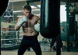 Canelo alvarez posted a workout video of him on social media working on the heavy bag, preparing for billy joe saunders or gennadiy golovkin. Canelo Ufc Boxing Boxing Workout Heavy Bag Workout
