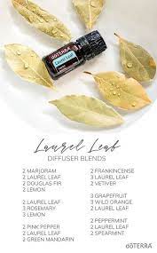 Pin On Essential Oil Diffuser Blends