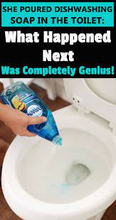 She Poured Dishwasher Soap In The Toilet What Happened Next Was Completely Genius Clogged Toilet Dishwasher Soap Household Cleaning Tips