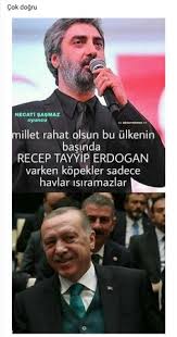 De 100 Beste Afbeeldingen Van Kurtlar Vadisi Pusu In 2020 Ezel Maffia Armen