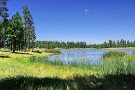 World travelers will find a charming resting place at the gateway to the grand canyon. White Horse Lake Campground Az Hikearizona