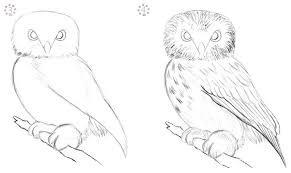 Lukisan yang didominasi hanya oleh dua warna namun sangat indah. Mewarnai Gambar Sketsa Kepala Burung Hantu Terbaru Kataucap