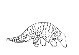 How To Draw A Pangolin Step By Step Easy Animals 2 Draw Pangolin Drawings Easy Animals