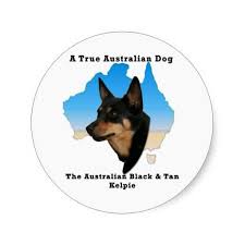 Black And Tan Australian Kelpie Lab Mix Australian Black And Tan Kelpie With Map Classic Round Sticker Zazzle Com Black And Tan Australian Kelpie Dog Australian Kelpie