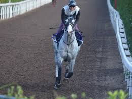 宝塚記念, 横山典弘, ゴールドシップ 今週末の阪神 競 馬場 では 宝塚記念 （g1）が開催される。 ã‚´ãƒ¼ãƒ«ãƒ‰ã‚·ãƒƒãƒ— å®å¡šè¨˜å¿µæœ€çµ‚è¿½ã„åˆ‡ã‚Šé€Ÿå ± æ —æ±ãƒˆãƒ¬ã‚»ãƒ³ãƒ‹ãƒ¥ãƒ¼ã‚¹ ç«¶é¦¬ãƒ‹ãƒ¥ãƒ¼ã‚¹ Netkeiba Com