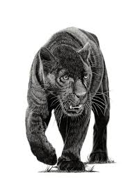 Black Panther Art Print In 2020 Black Panther Drawing Black Panther Art Panther Art