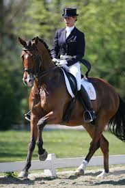 Theodora elisabeth gerarda (anky) van grunsven, мфа: Nelson Anky S Horses