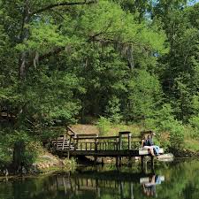 Florida tech sports camps for kids offer expert instruction and fun in seven different sports. Deep Roots And A Homegrown Staff Keep Camp Indian Springs Flourishing Tallahassee Magazine