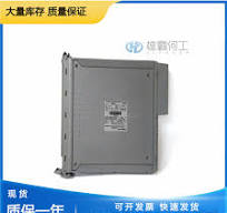 ICS Triplex T8290C AO模块-厦门雄霸