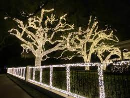 Find many great new & used options and get the best deals for acclaim lighting st. 4534 St Charles The Massive Oaks Wrapped In Christmas Lights Are Just Awesome Neworleans