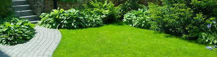 Common lawn pest insects in california. Top 5 Reasons To Hire Professional Turf Care World Wide Pest Control