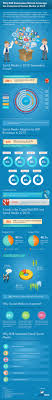Why B2b Companies Must Invest In Social Media In 2013 Infographic Image B2b Social Media 2013 Betta Fish Care Betta Fish Fish Care